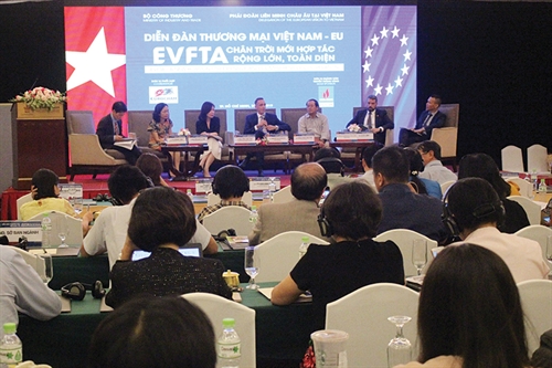 How will the EVFTA contribute to more transparency?