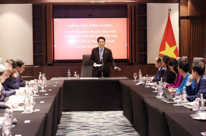 Consolidating political trust between Vietnam and African countries to expand cooperation: President