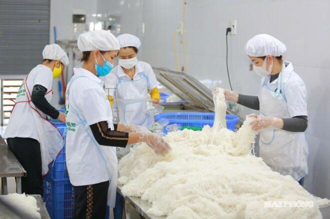 Hai Phong City provides legal assistance to propel small and medium enterprises