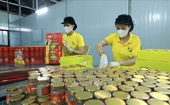 Ministries strengthen legal assistance for businesses