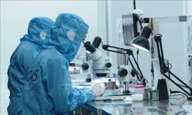 Terms in the 2025 Law on Science, Technology and Innovation