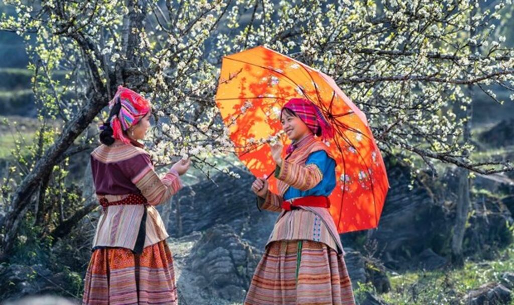 Vietnamese Traditional Dress: A Tapestry of Culture