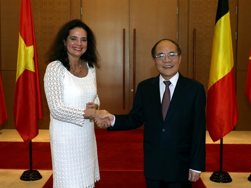 Vietnam Belgium to share legislative experience