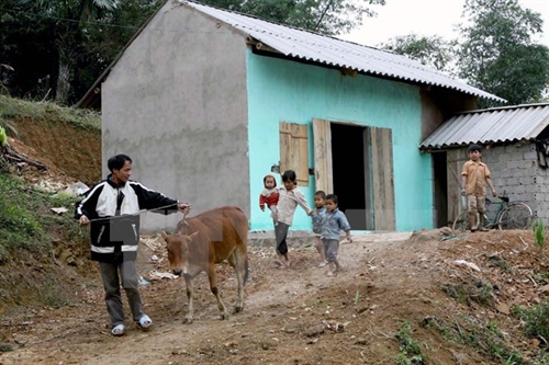 New policy helps build safe houses for the poor