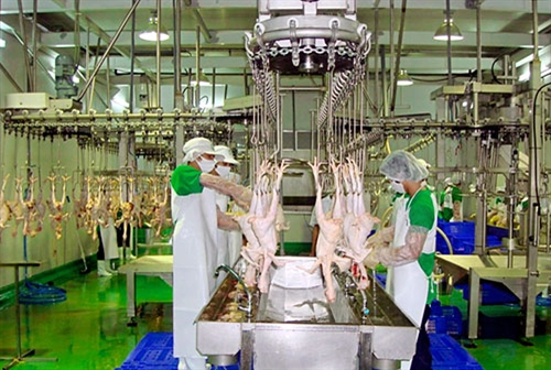 Draft decree sets safety conditions for food producers