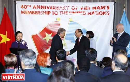 Vietnam affirms stronger cooperation with UN