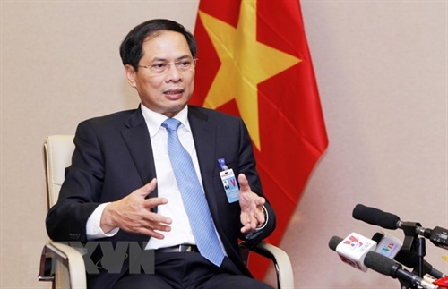 VN constructively contributes to APEC Economic Leaders Week: official