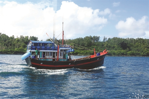 Vietnams actions to fight against illegal fishing