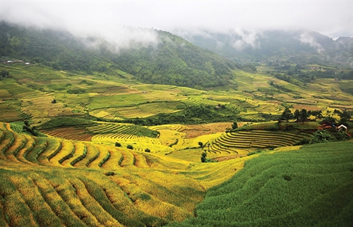 Lao Cai province: a frontier agriculture attraction for foreign investment