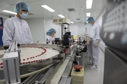 Vietnam to master production technology of 10 types of human vaccines by 2025