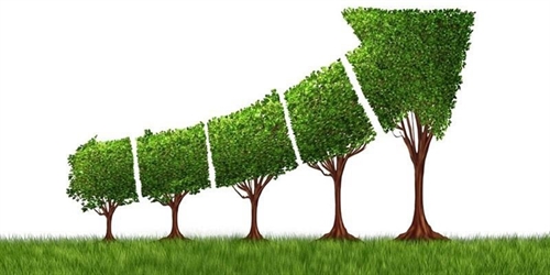 New green growth strategy adopted to build a green economy