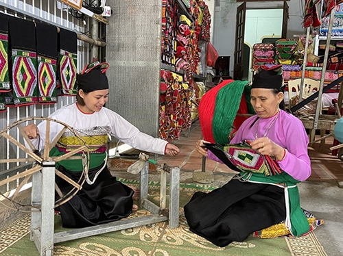 Cotton weaving craft of the Muong
