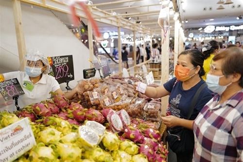 Vietnamese goods to increase presence on foreign shelves
