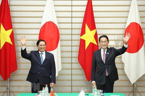 Japan boosts all-round cooperation to help Vietnam realize zero-carbon society: Ambassador