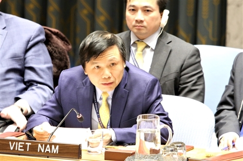 Tenure on UN Security Council elevates Vietnams foreign policy stature: Ambassador