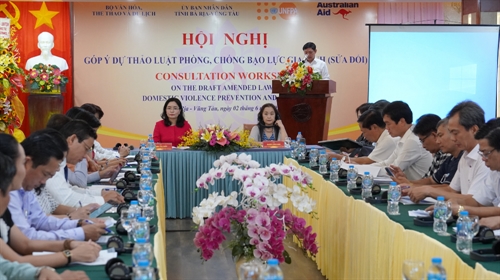 Vietnam achieved significant progress in anti-domestic violence work: UNFPA Representative