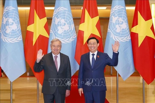 NA Chairman hails UN organs effective support for Vietnam