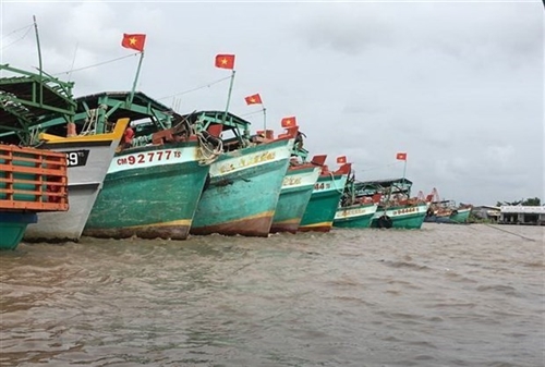 Vietnam making utmost efforts to tackle IUU fishing: Deputy PM