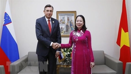 Vietnam eyes to expand bilateral multilateral relations within Francophone Community