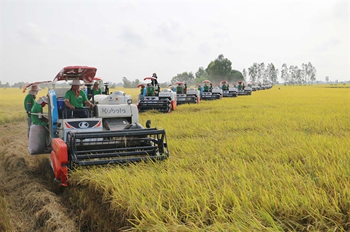An Giang province prioritizes hi-tech agriculture tourism to boost economic growth