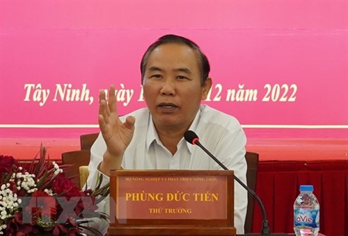 Vietnam strictly punishes illegal fishing activities: Deputy Minister
