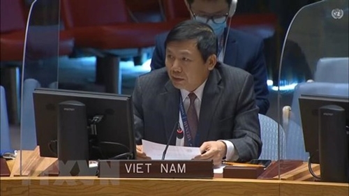Vietnam shares experience in poverty reduction crisis settlement at UN CSocD session