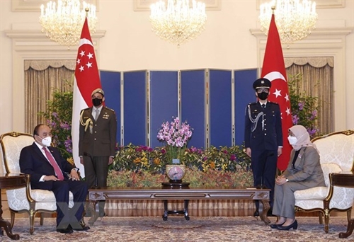 Presidents Singapore visit helps realize foreign relations policy: official