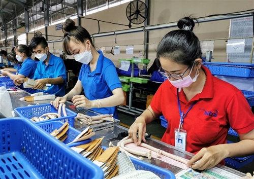 Vietnam speed up disbursement for economic recovery program