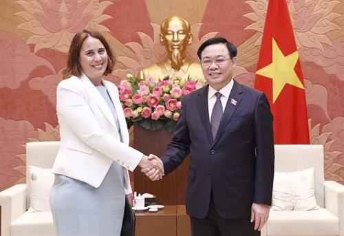 Vietnam - New Zealand cooperation highly effective practical: NA leader