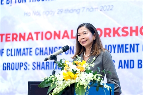 UN ready to support Vietnam in responding to new challenges: Coordinator