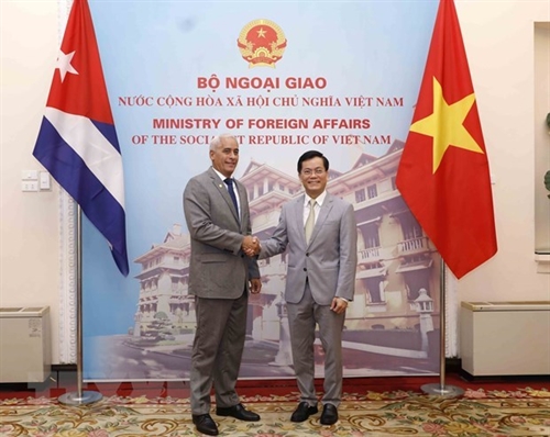 Vietnamese Cuban foreign ministries hold seventh political consultation