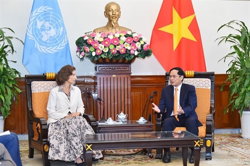 Vietnam looks to UNESCOs support for World Heritage Committee candidacy: FM