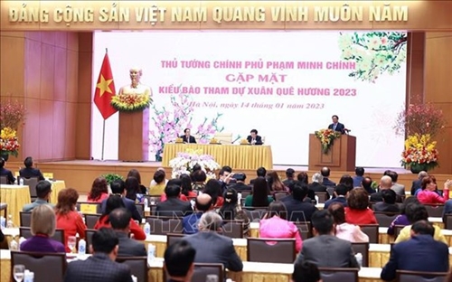 PM calls for OVs efforts to bring Vietnam world closer