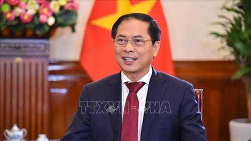 Foreign ministry sets economic diplomacy focuses for 2023