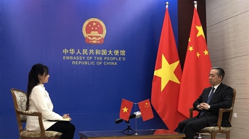 Vietnamese economy greatly open full of vitality: Chinese ambassador