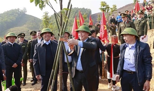 NA leader launches emulation drive tree planting festival in Tuyen Quang