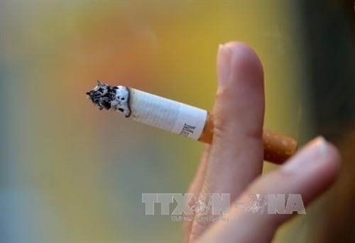 Ministry proposes a hike in special consumption tax on cigarettes beer spirits