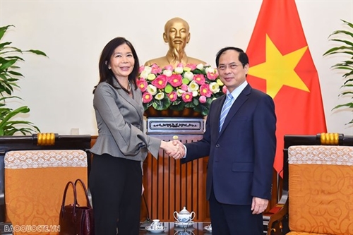 Vietnam calls for UN organizations cooperation in priortized areas: FM