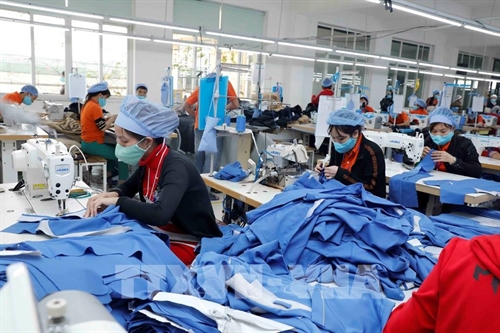 Ample room remains for Vietnamese exports to Africa