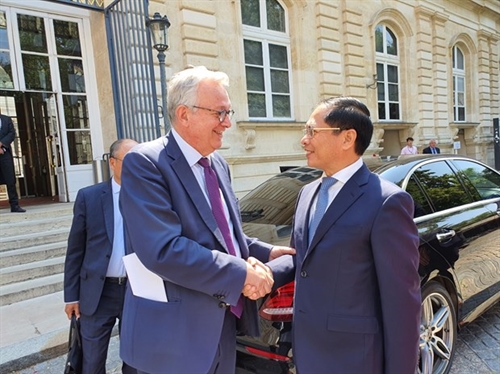 Vietnam attaches importance to comprehensive relations with France: FM